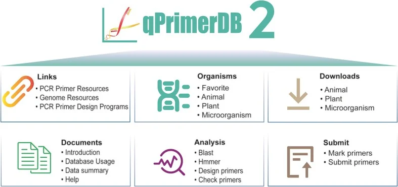 Overview of qPrimerDB 2.0